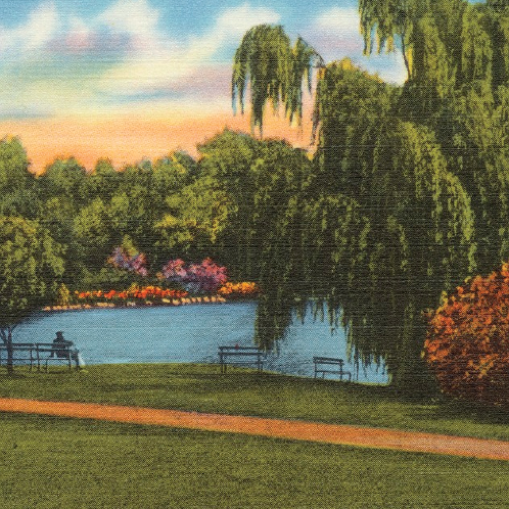 best prerolls in new jersey